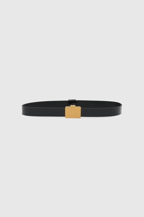 Tawny Belt